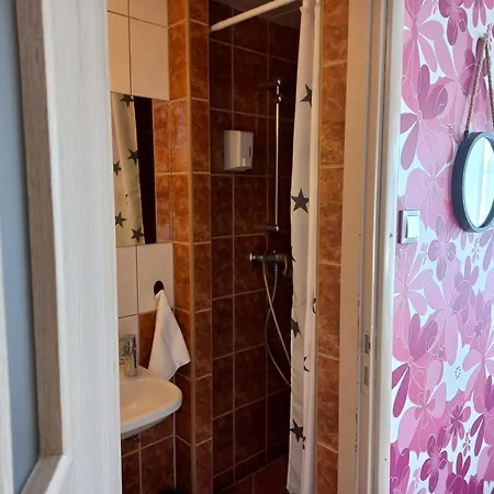 Dom Goscinny Raido Homestay *